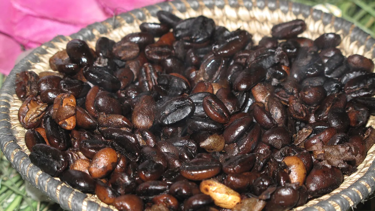 Grains de café fraîchement torréfiés à Mekele, en Éthiopie